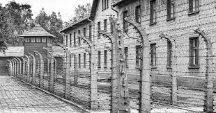 Cet article possède des paronymes, voir choa et shoa. Ricordare La Shoah 75 Anni Dopo Il Bo Live Unipd