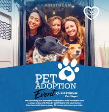 Maybe you would like to learn more about one of these? Air Stream Lv Pet Adoptions The Animal Foundation
