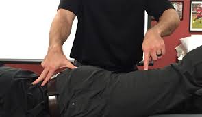 Image result for Pelvic Compression Test