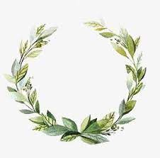 Small Fresh Garland Fresh Garlands Flower Frame Wreath Drawing