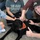 Virginia Tech Therapy Dogs event image