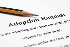 Check spelling or type a new query. How Much Does Adoption Cost In Nevada Eric A Stovall Ltd