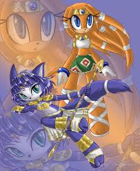 Tikal The Echidna Kystal The Fox From Amethyst10 Hosted By Neoseeker I love pokémon, chao, and many other things. tikal the echidna kystal the fox from
