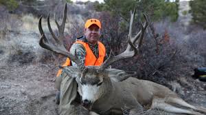  Jason S 206 Colorado Mule Deer Youtube