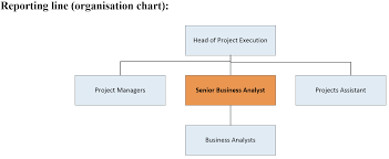 business analyst permanent 682 job at c hoare co in