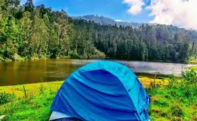 Select a campground from the map or use the list below. Black Forest Camping Kodaikanal I Book Online Save 16