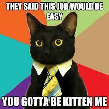 They Said This Job Would Be Easy You Gotta Be Kitten Me Business Cat Quickmeme