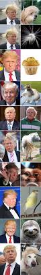 Https Www Facebook Com Groups 1710816119179412 1717196071874750 Laughing Pinterest Donald O Connor Jokes And Clinton N Jie