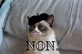 French Grumpy Cat Non Grumpy Cat Meme Grumpy Cat Quotes Grumpy Cat