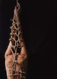 Tree of Life Photograph by Darkly Dreaming - Fine Art America
