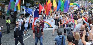 The flag used is the flag of europe, which consists of a circle of twelve golden stars on a blue background. Dusno Kolem Prague Pride Podpalena Duhova Vlajka Dalsi Ukradeny Pyrotechnika Proti Ucastnikum Parlamentnilisty Cz Politika Ze Vsech Stran