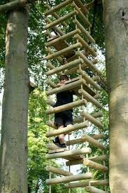 Check spelling or type a new query. Climbing Ladder Tree House Diy Tree House Plans Wooden Tree House