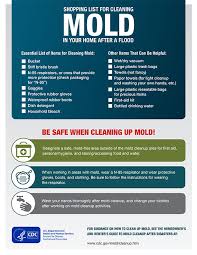 Remember to note down any words that you don't know and follow our site to get more spanish to english. Shopping List For Cleaning Mold After Flood Natural Disasters Severe Weather Cdc