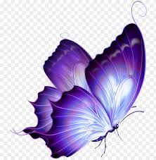Related Image Purple Butterfly Tattoo Butterfly Flowers Purple Butterfly Png Image With Transparent Background Png Free Png Images Purple Butterfly Tattoo Butterfly Art Drawing Butterfly Drawing