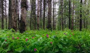 To be considered for this category, entrants had to include at least four different shots in their submission. 13 Great Tips For Spring Landscape Photos Video Shutterbug