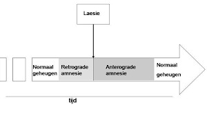 Diseases related to amnestic disorder via text searches within malacards or genecards suite drugs for amnestic disorder (from drugbank, hmdb, dgidb, pharmgkb, iuphar, novoseek. Amnesia Wikipedia