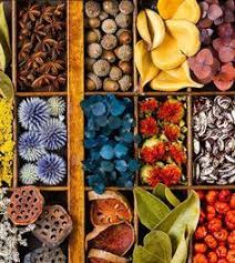 Pin On Activities With Nature