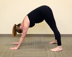 Down dog is the #1 rated app for practicing yoga at home. Downward Dog And Other Poses Get The Thumbs Up During Pregnancy Shots Health News Npr