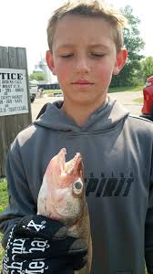 Successful walleye fishing trip