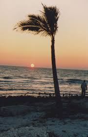 Lynda Diane Cushing Obituary