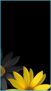 Support us by sharing the content, upvoting wallpapers on the page or sending your own background. Beautiful Flowers Flower Background Wallpaper Sunflower Black Sunflower Wallpaper Neat