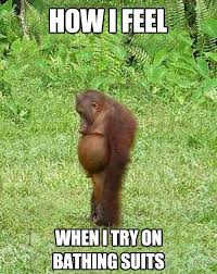 Trying On Bathing Suits Humor Funny Quotes Lol