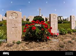 Red Rose e lapide su una tomba del Commonwealth Unknown Soldier in Cabaret  Rouge British cimitero per la prima guerra mondiale. Francia Foto stock -  Alamy