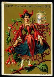 Liebig S217 Flower Girls 1888 Fuchsia Vintage Illustration Vintage Fairies Antique Postcard