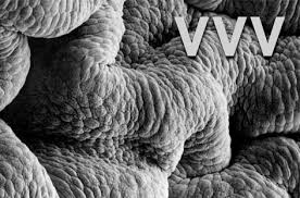 September 11 at 2:34 pm ·. Vvv Announces New Album Shadow World For Holodeck Records News Ra