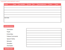 The Ultimate Nursing Brain Sheet Database 33 Nurse Report