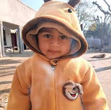 Pequeño circuito, grandes ideas en cada conexión."