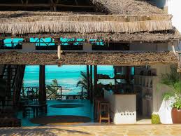 Image result for Heinsia zanzibarica