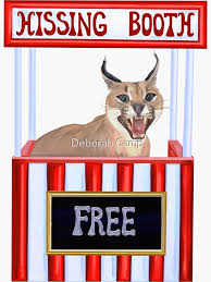 Why Do Caracal Hiss So Much | Tiktok