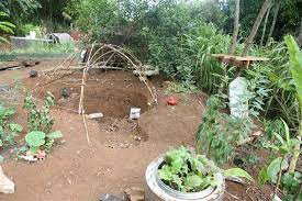 How to build a sweat lodge (infographic) march 2021. Sweat Lodge Beginnings Sweat Lodge Veggie Garden Natural Home