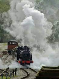 Pin By Laura Jackson On Trains For My Dad 3 Steam Trains Abandoned Train Train