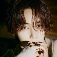 See more ideas about jeonghan seventeen, jeonghan, seventeen. Profile Seventeen Japan Official Site