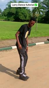 Learn the Larry Dance: Step-by-Step Tutorial