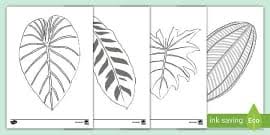 The free palm template (if you already are a member, click here for direct access to download your template) a pencil Palm Leaf Template