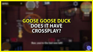 Things That Make No Sense In Goose Goose Duck
