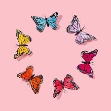 Top quality backgrounds for photoshoot, washable, wrinkle free & portable. Cute Aesthetic Wallpapers Pink Butterfly Novocom Top