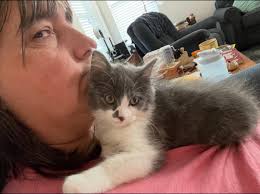 Lost my baby Hubert this morning, held him as he drifted off. I don't know  what to do with myself, he was a light that kept me pushing forward. He was  only