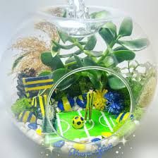 Fenerbahce Teraryum Futbolseverlere Futbol Fanatik Hediye Futbol Takim Temali Teraryum Erkeklere Ozel Tasarim Futbol Temali Teraryum Hediyeler Teraryum Cicek