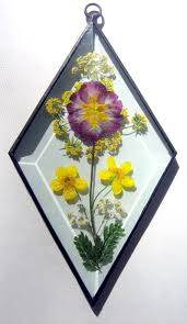 Pressed flower terrarium, stained glass frame. Stained Glass Pressed Flower Bevel Suncatcher Pressed Flowers Botanical Floral Prints Flower Art