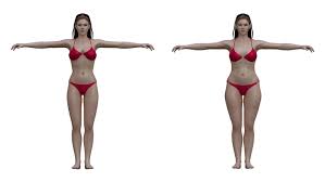 This article looks at female body parts and their functions, and it provides an interactive diagram. Ideal To Real What The Perfect Body Really Looks Like For Men And Women