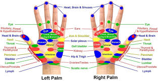 Reflexology Chart Hands And Feet Holistic Hernia Remediation