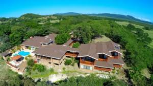 Image result for Nicolasia costata