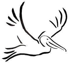Pelican Flight By Micah Guenther Pelican Art Pelican Drawing Pelican Tattoo