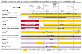 Recommended Adult Immunization Schedule United States 2009