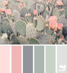 Cacti Color Pastel Colour Palette Colour Schemes Color Schemes