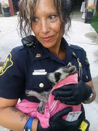 It's not every day that an officer saves a human life or for that matter  rescues a kitten, but for Officers Reed & Hilliker today was one of those  days. The two
